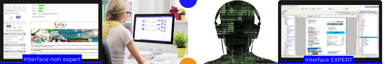 Les interfaces de DESIGNER