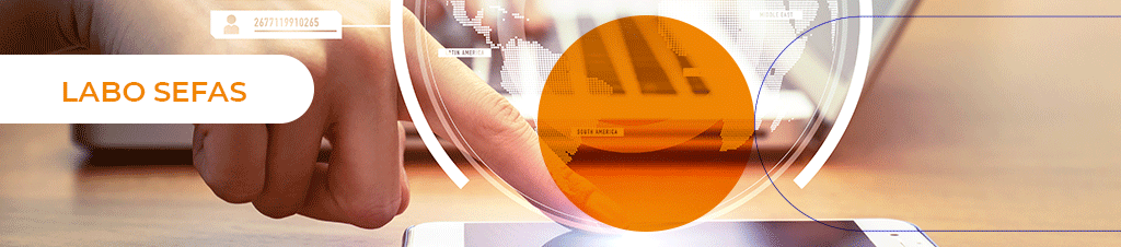 LABO SEFAS R&D INTELLIGENCE ARTIFICIELLE dans HCS