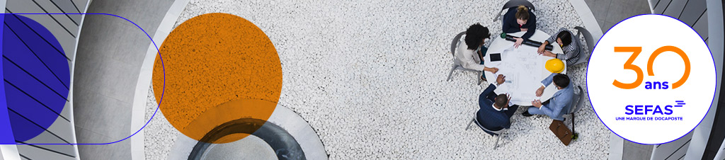 Logo Sefas 30 ANS